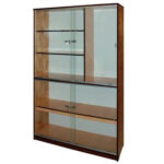 TỦ ĐỰNG MÔ HÌNH SINH HỌC