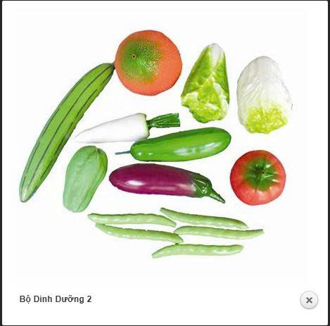 z7457101546007_6a3f41b049598a8c7fe30296232b9536 BỘ DINH DƯỠNG SỐ 2 - Ảnh 1