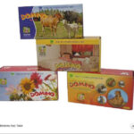 ĐÔMINO HỌC TOÁN