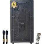 LOA KARAOKE DI ĐỘNG