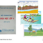 TRANH KHOA HỌC LỚP 4