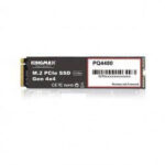 Ổ cứng SSD KINGMAX PQ4480 500GB NVMe M.2 2280 PCIe Gen