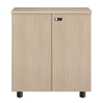 TỦ TÀI LIỆU NTV880D