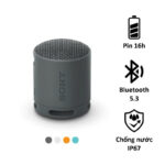 Loa Bluetooth di động Sony SRS-XB100, pin 16h, chống nước IP67